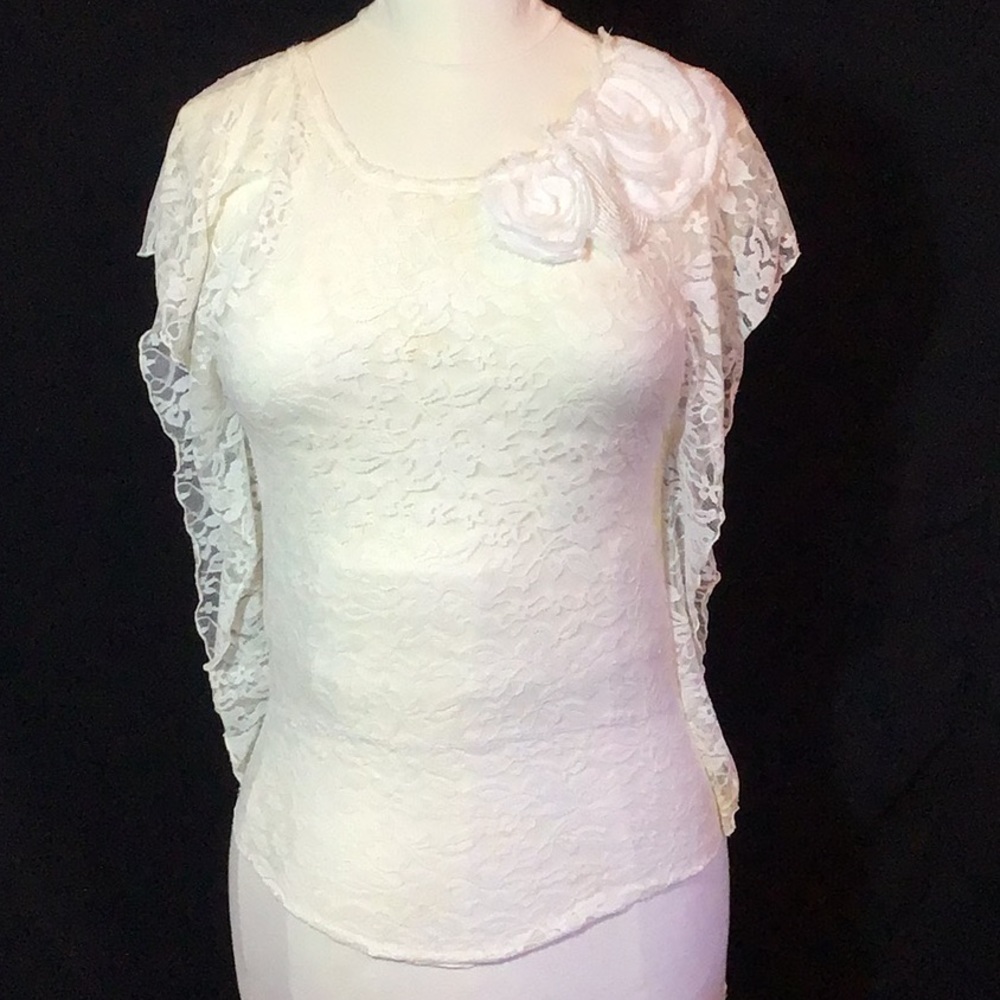 Sheer Lace Wing Ruffle Sleeved Blouse 🌷